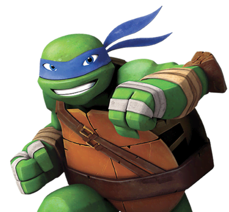 Leonardo turtle