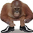 Avatar de Returneed