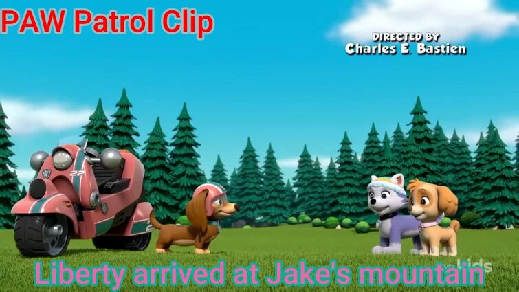 Paw patrol mountain clearance rescue