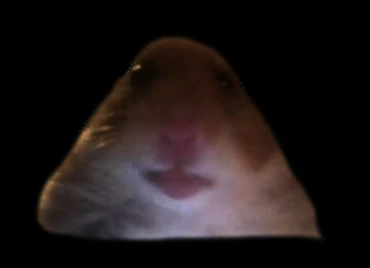 Havorite Pill Twink Idiot character? | Fandom