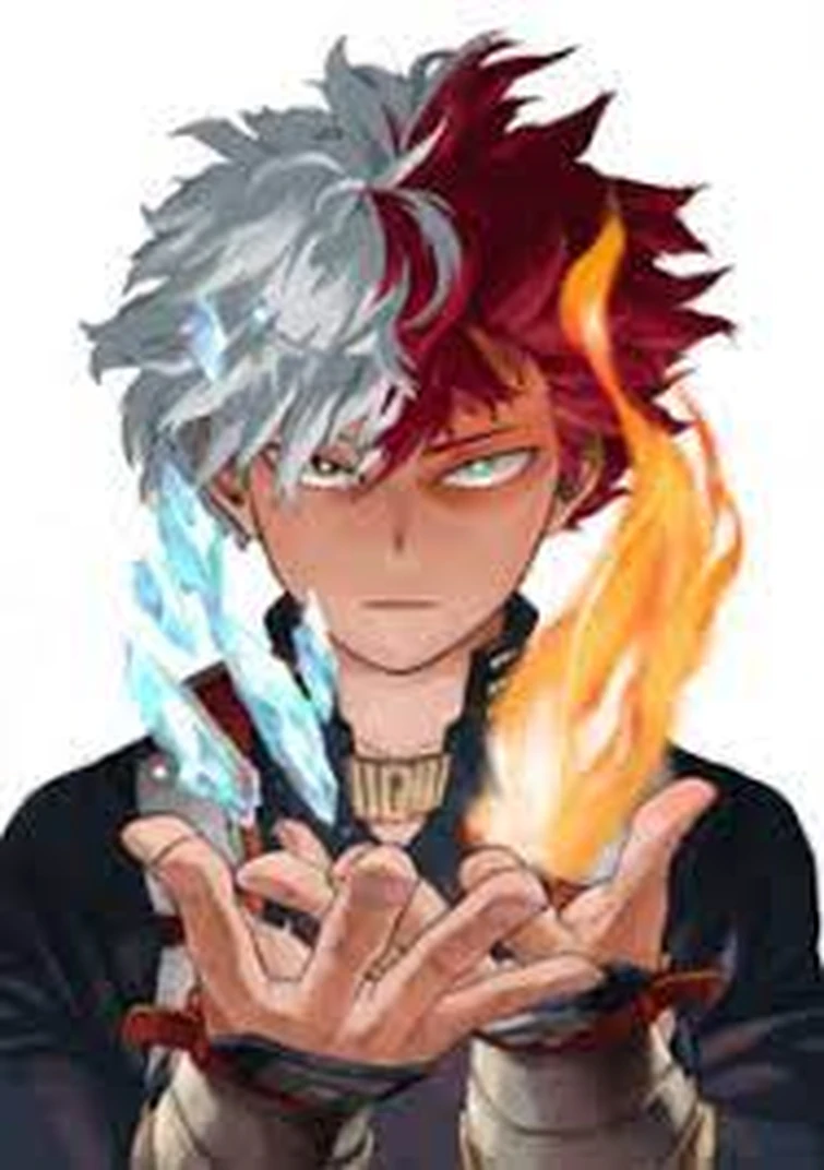 How strong is Shoto Todoroki? Fandom