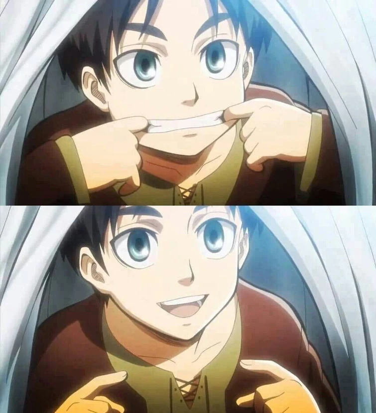 Eren’s last smile of happiness instead of titan murder smile Fandom