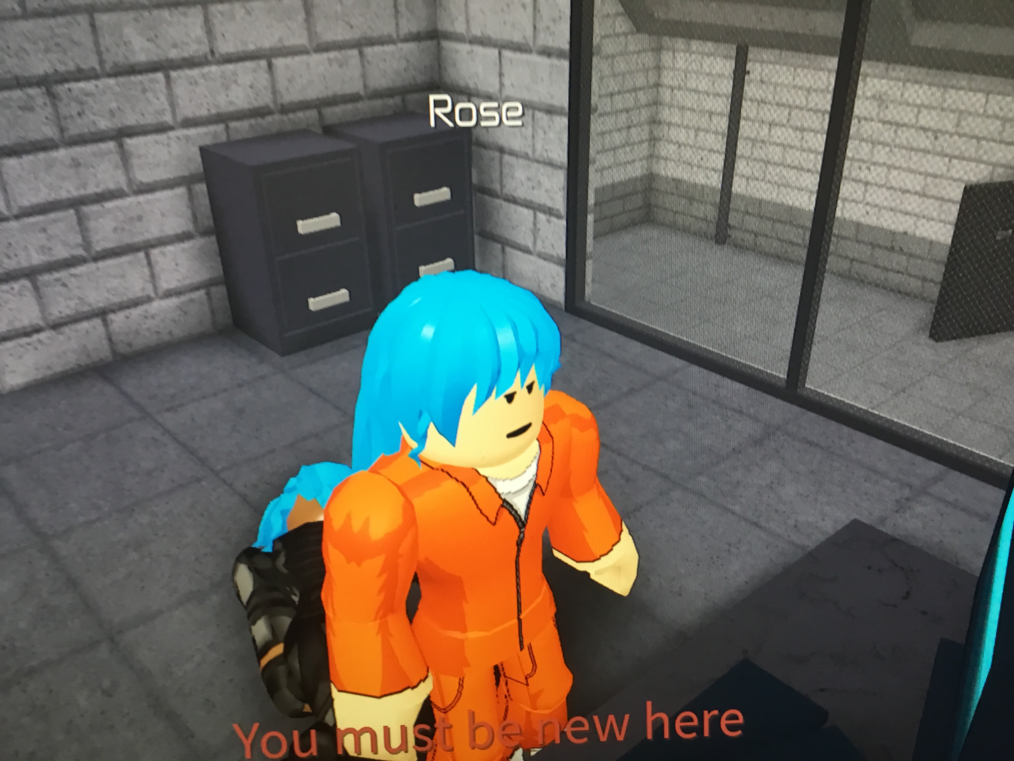 Discuss Everything About Entry Point Wiki Fandom - roblox entry point rose death