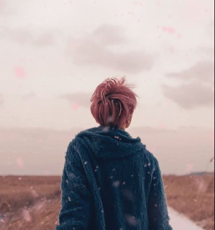 Jimin jacket hotsell spring day
