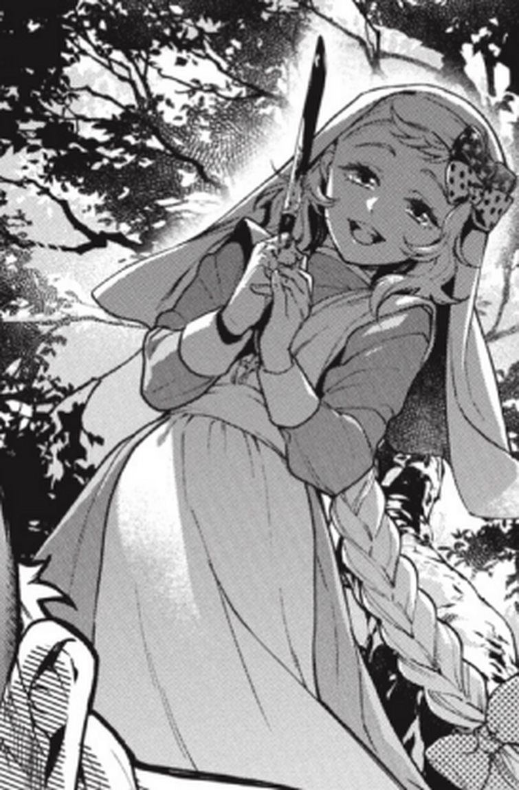 Fandom Image