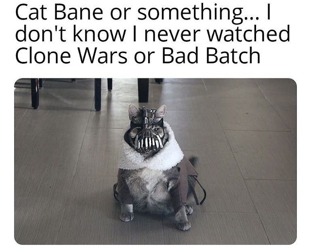 bane cat meme darkness