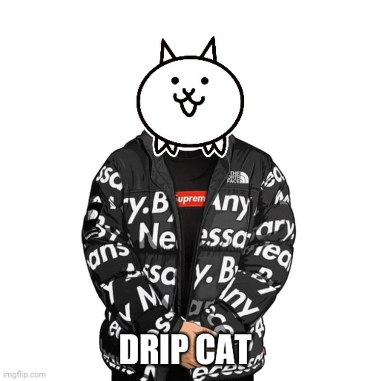 Drip Cat Fandom