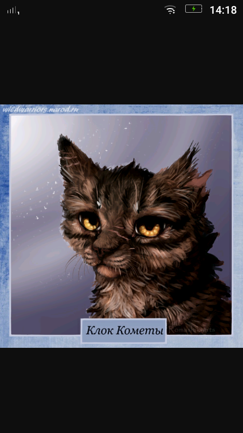 коты воители клок кометы. коты воители щербатая. коты воители клок кометы. клок кометы коты. клок кометы коты.