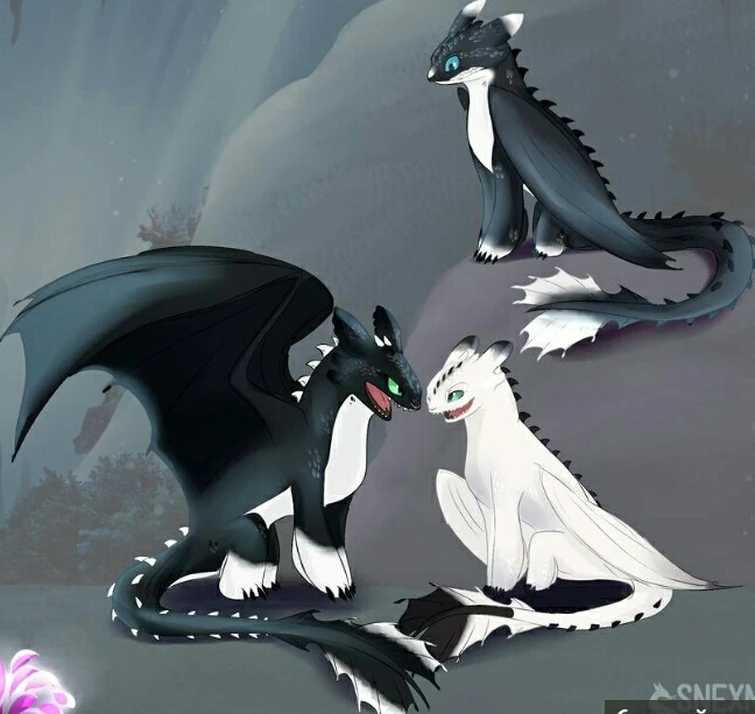 Картинки ночные сияния как приручить дракона