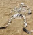 Sand Skeleton the 574th's avatar