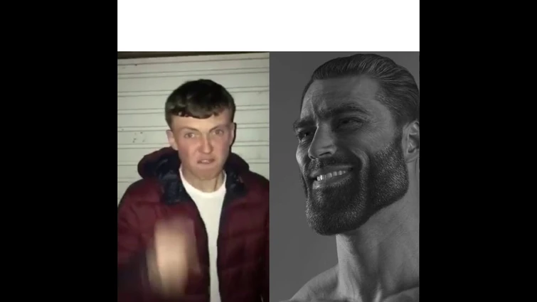 Average Fan VS Average Enjoyer | Original Template | 2K 60FPS