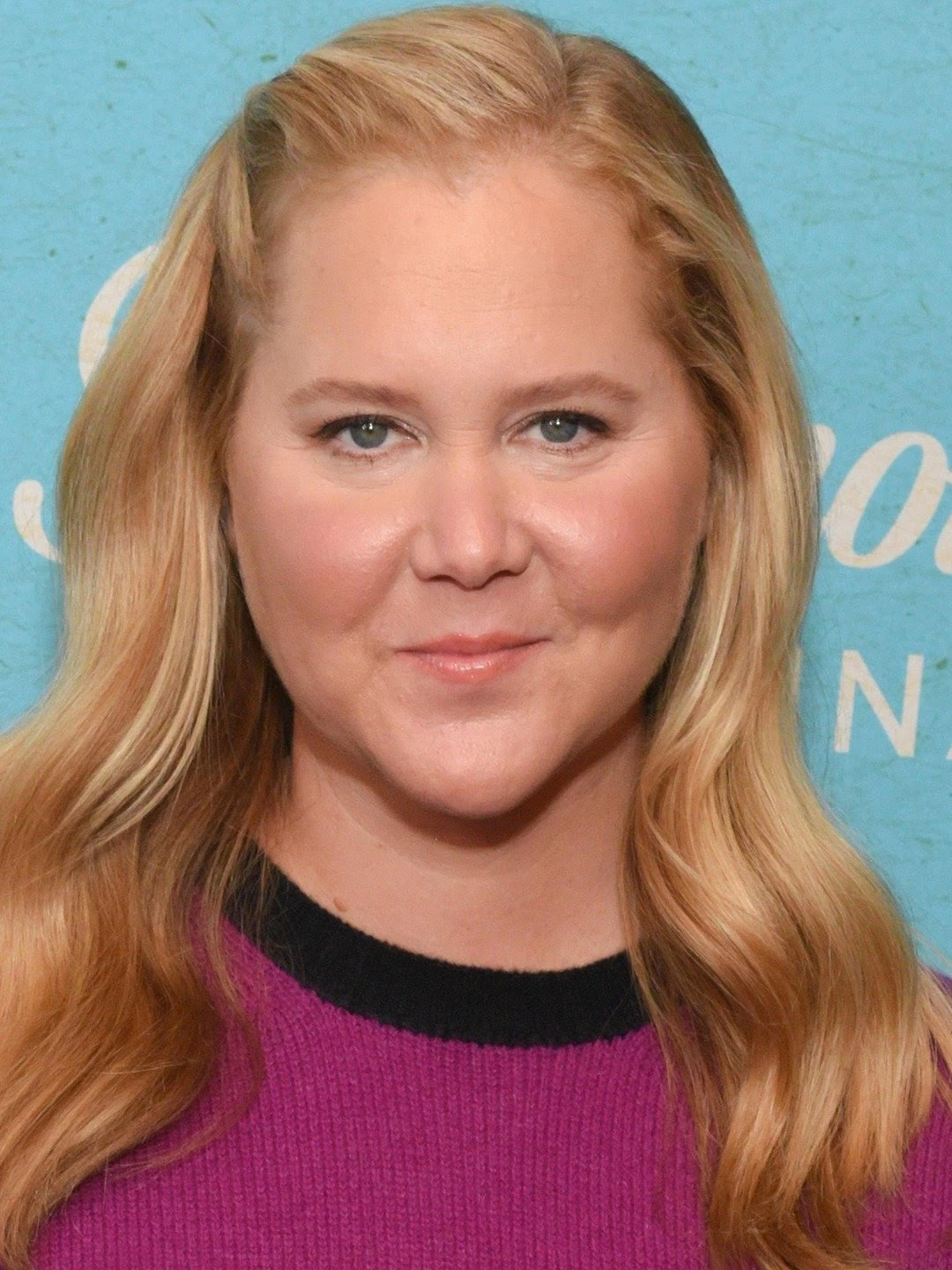 Happy 43rd Birthday, Amy Schumer! | Fandom