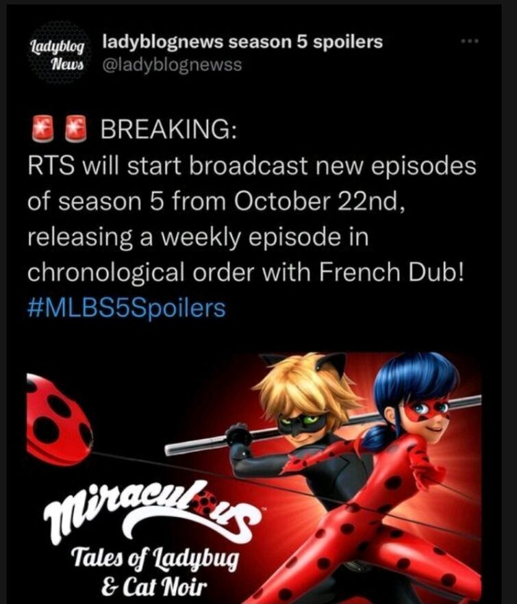 Miraculous Ladybug Season 5 Updates