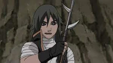 Raiga Kurosuki vs Rokusho Aoi | Fandom