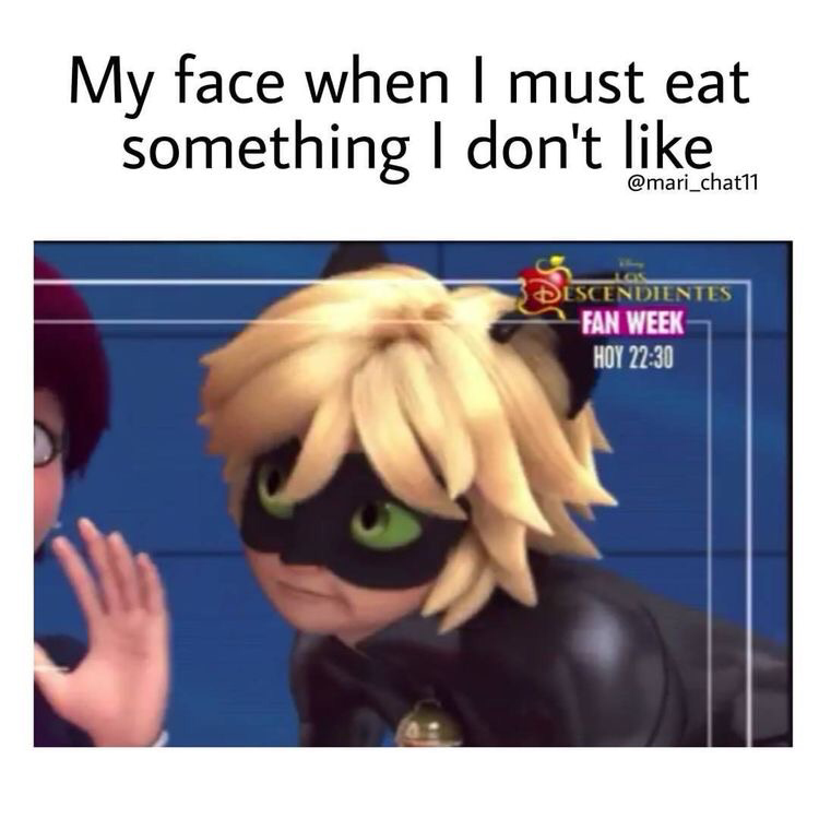 I Swear Chat Noir And Ladybug Make The Cutest Funniest