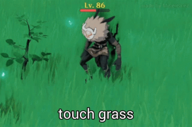 touching grass Memes & GIFs - Imgflip