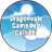 CalliAlli's avatar