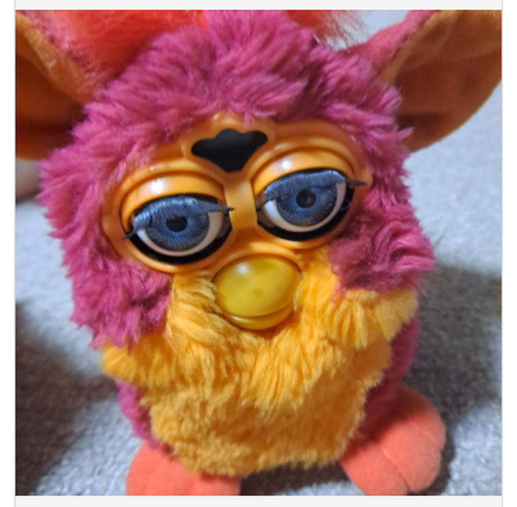 Fandom Image