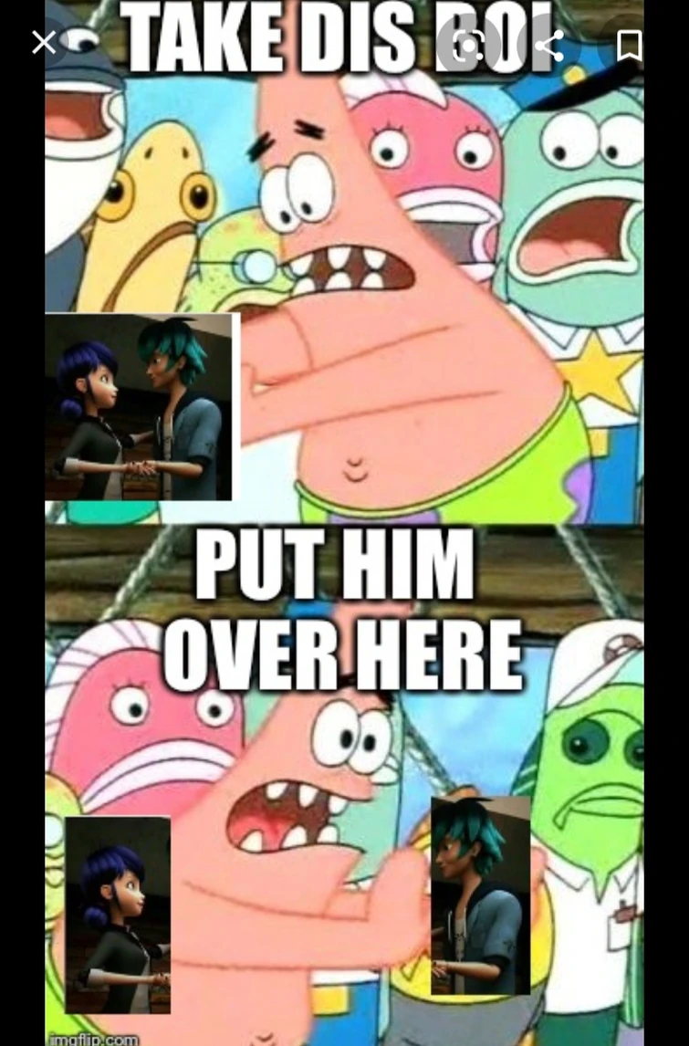 Daily Memes: Day #4! | Fandom