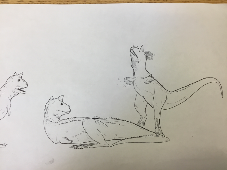cat mating drawing