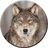 Fenris Forever!'s avatar