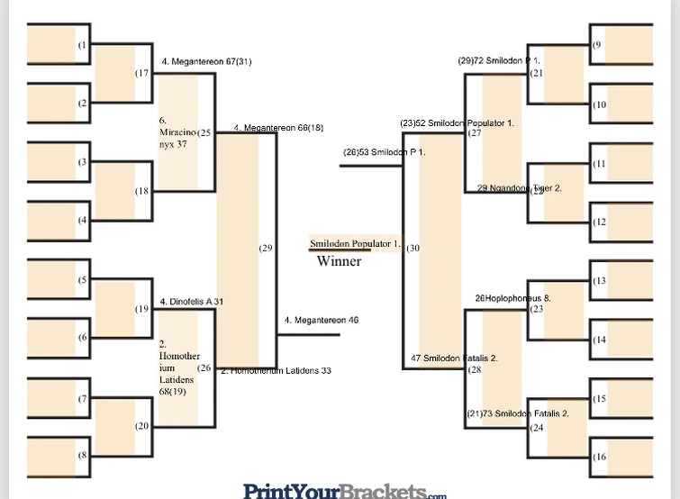 Bracket Recap and Future | Fandom