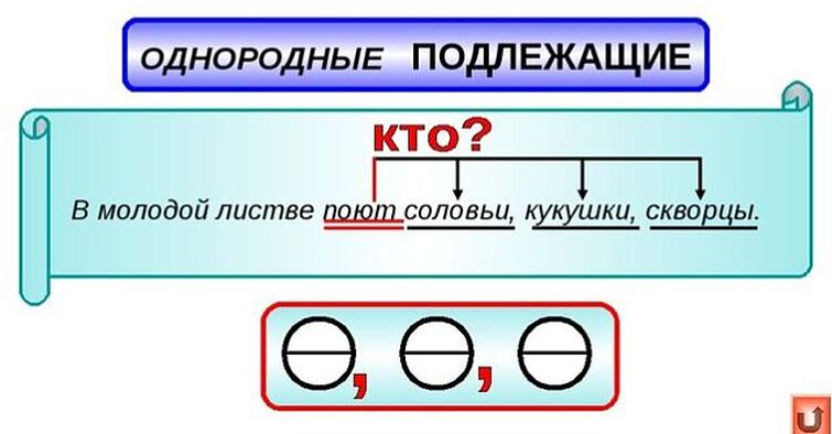 Простое предложение с однородными сказуемыми. Предложение с однородными подлежащими. Однородное подлежащее. Однородные подлежащие в предложении. Однородные подлежащие и сказуемые.