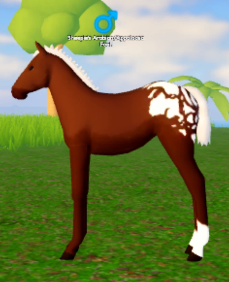 I kinda want a ghost horse so here’s my offer (probably not worth a