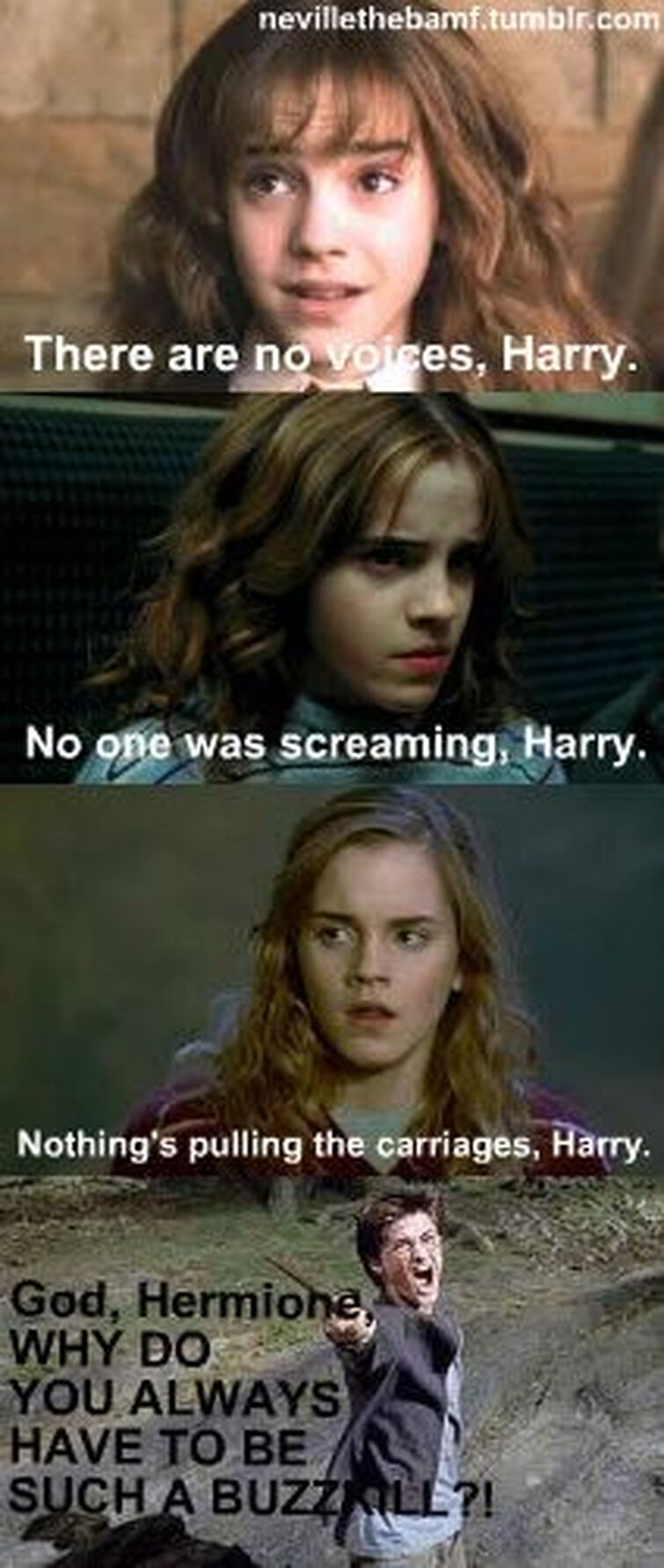 Harry Potter Hermione Memes