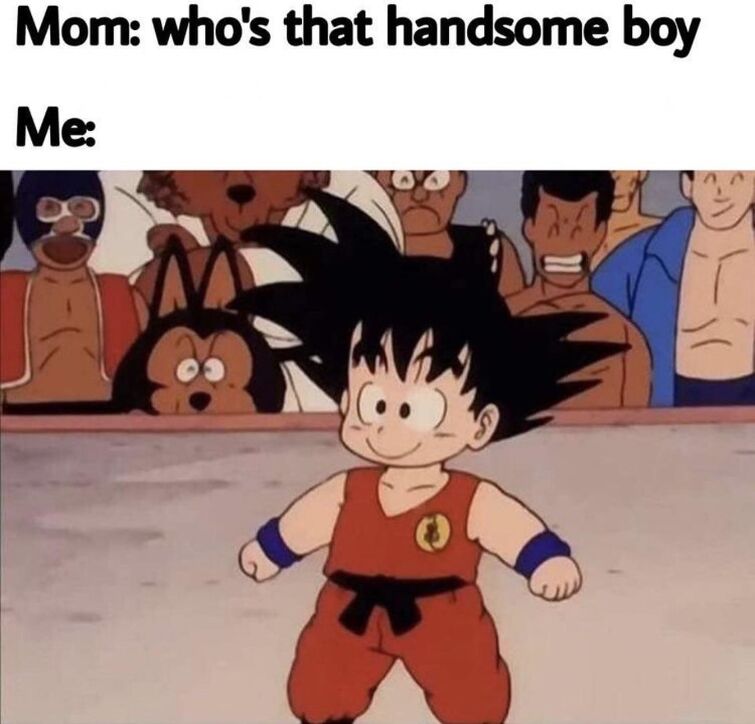 Can Someone Show Me Dbz Memes That Are Actually Funny Fandom