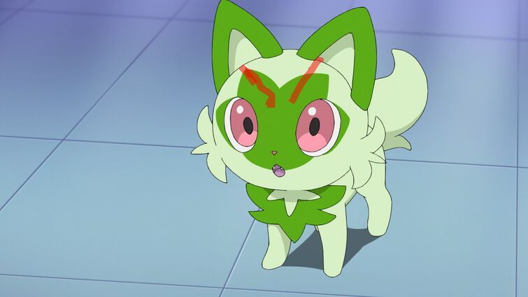 Fandom Image
