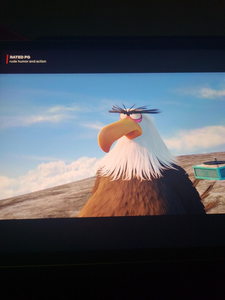 just reliazed that rovio rick rolled us in the angry birds movie