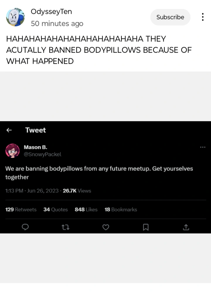 they banned body pillows Fandom