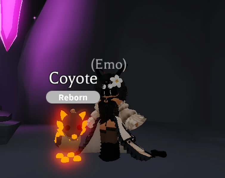 NEON COYOTE!!!! | Fandom