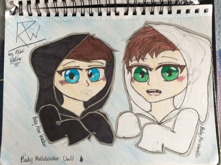 Discuss Everything About Alan Walker Wiki Fandom