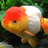 AilingSword75's avatar