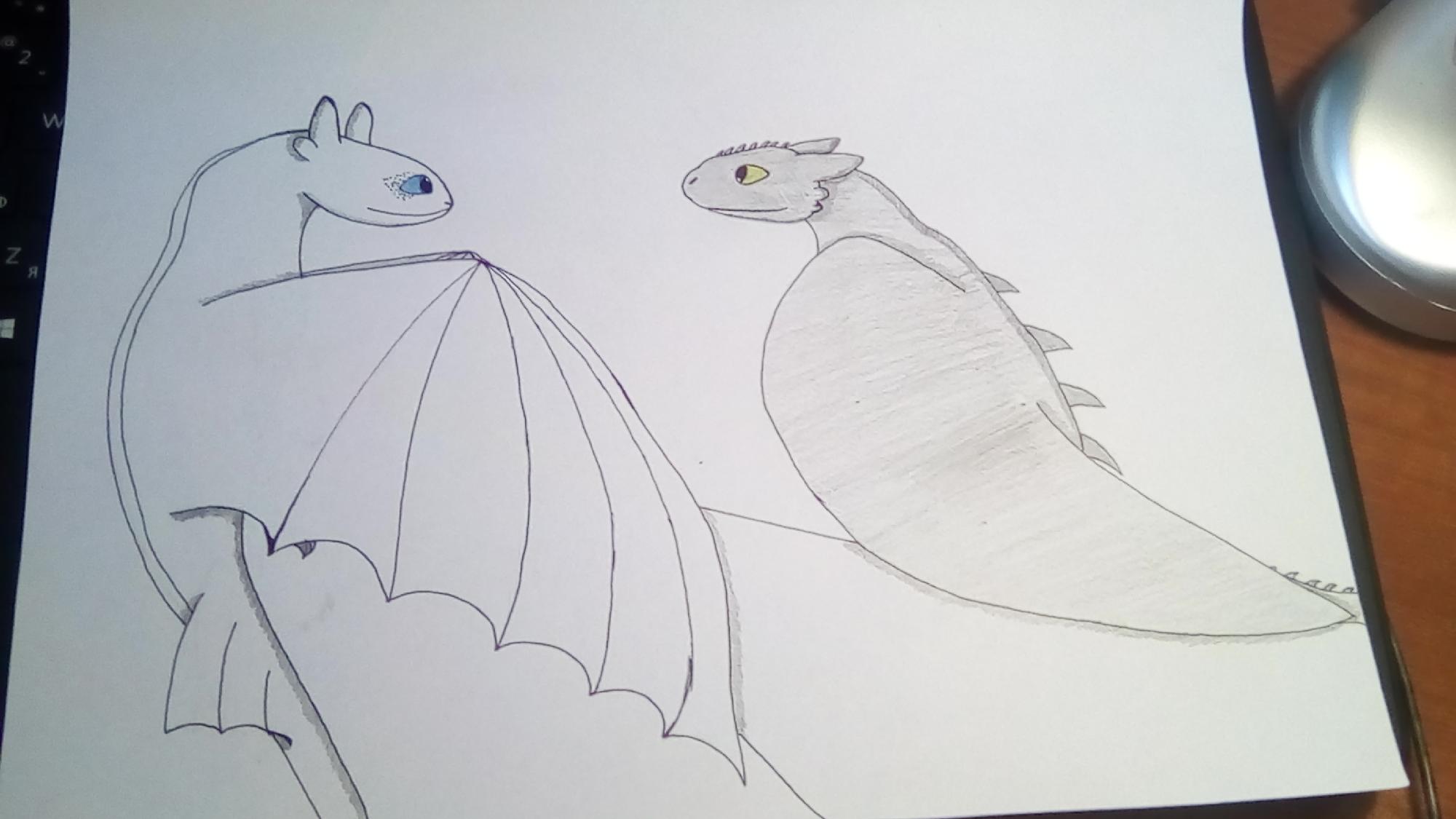 Распечатать раскраски из мультика Как приручить дракона (How to Train Your Dragon)