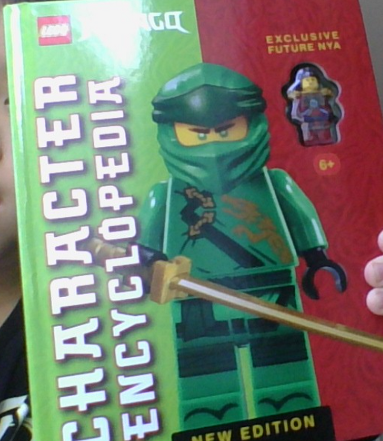 Ninjago Sets - LEGO Ninjago Encyclopedia