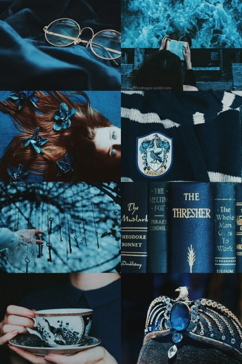 Ravenclaw Common Room Fandom