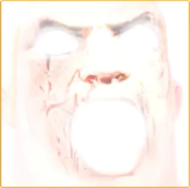 370
