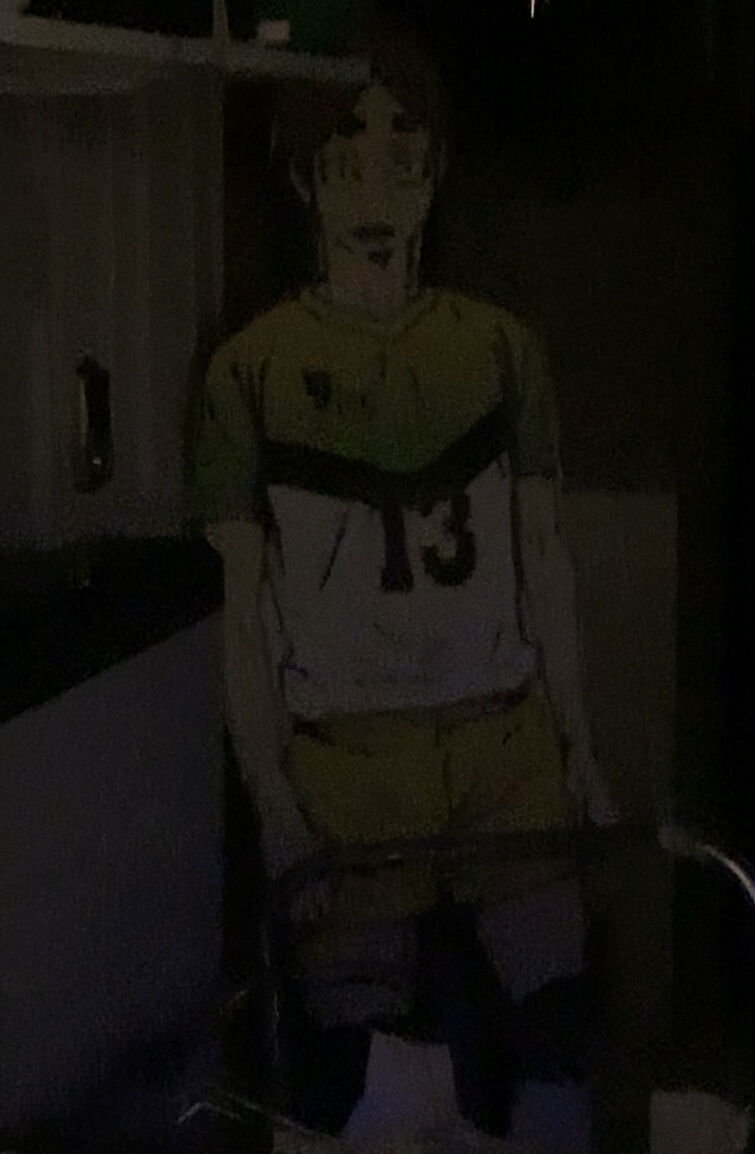 Fandom Image
