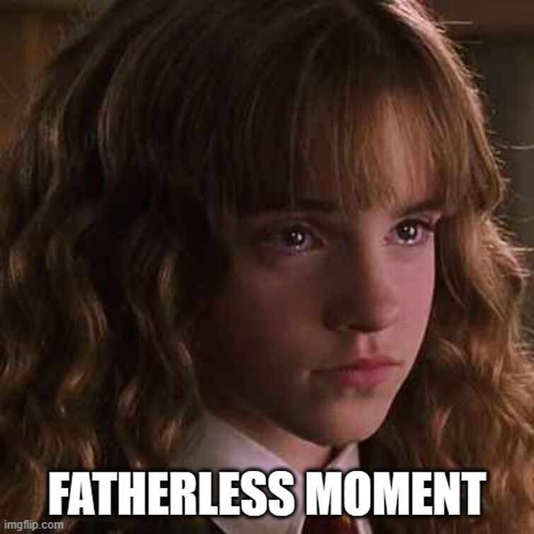 harry potter and hermione Memes & GIFs - Imgflip