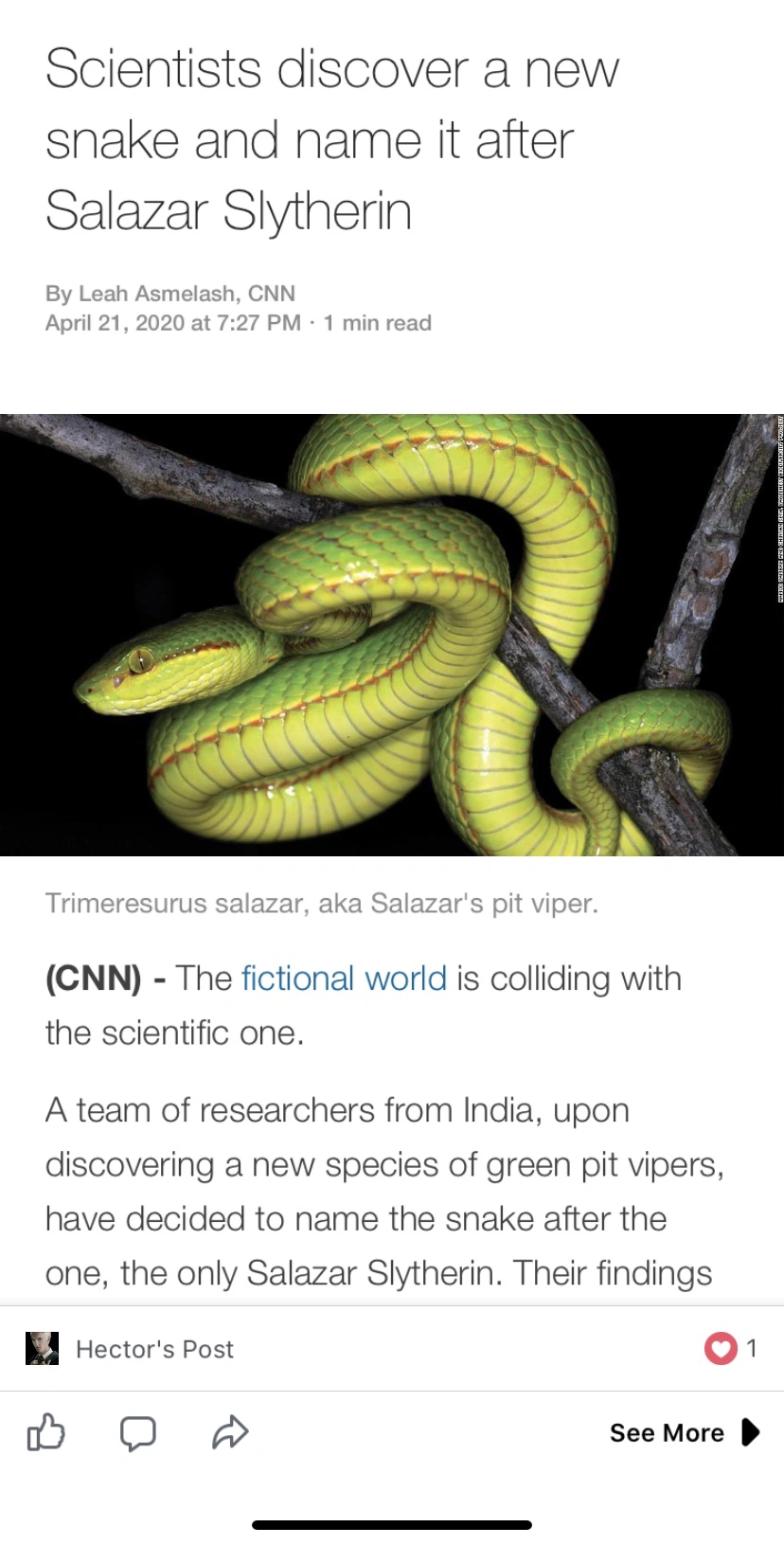 Slytherin Snake Fandom