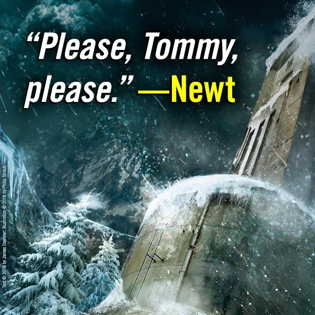 Analysis/Thoughts Fandom