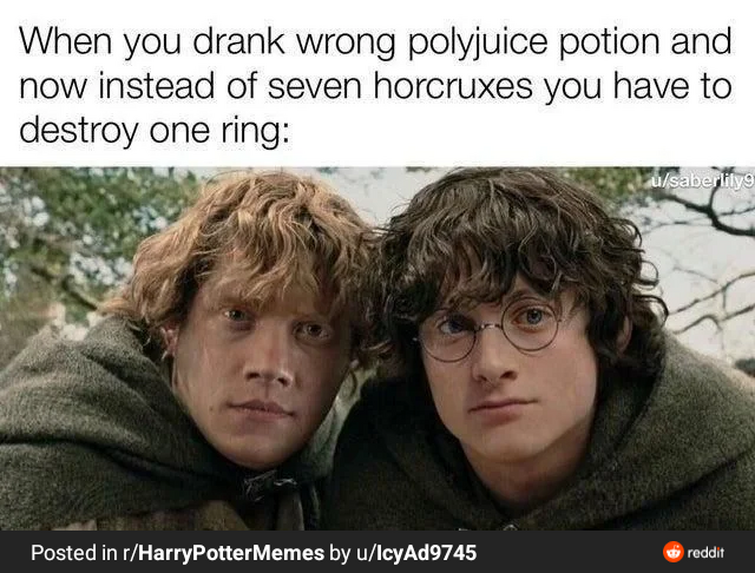 Some memes i found on  : r/harrypotter