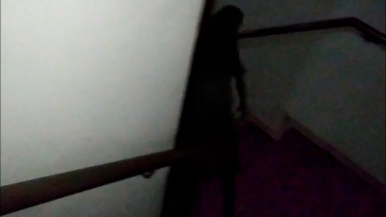 Backrooms no Brasil - Parte 1