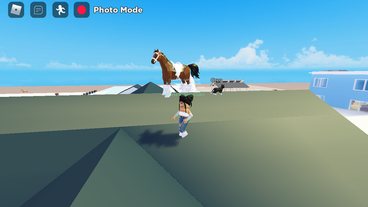 Quarter Horse, Horse Valley 2 ROBLOX Wiki