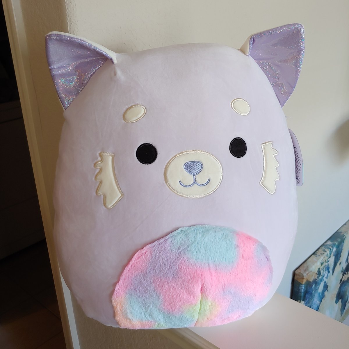 New Squishmallow Shop! Fandom