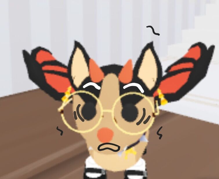 drawing-faces-over-your-am-pets-for-free-fandom
