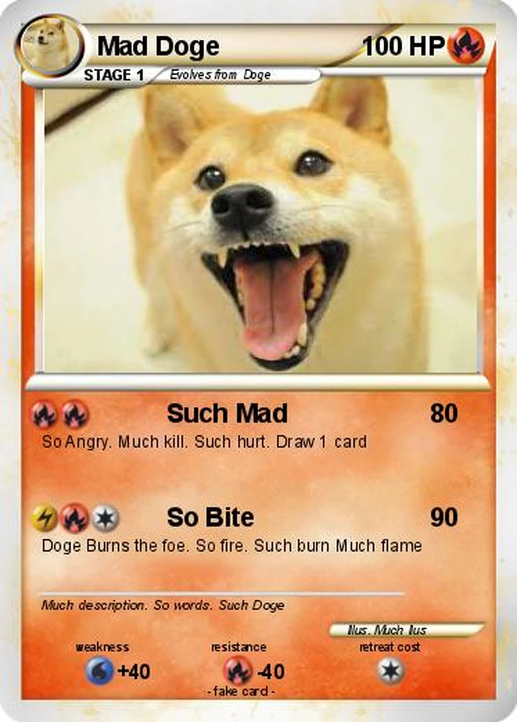 Who like my doge | Fandom